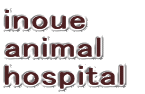 inoue
animal
hospital 
